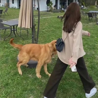 钴蓝爱恋